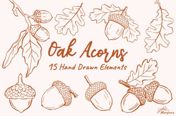 Download Hand Drawn Fall Oak Acorns Autumn SVG - Svg Collection