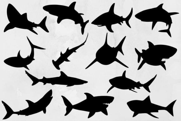 Download Shark Svg Bundle #2 - Svg Collection