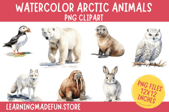 Download Watercolor Arctic Animals Clipart PNG - Premium Resources