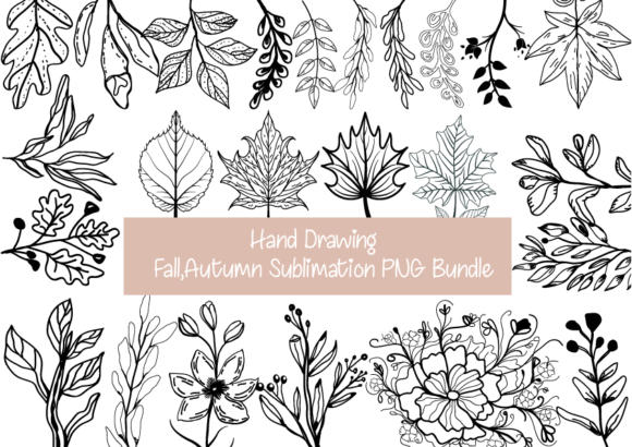 Download Fall Autumn Sublimation Graphics Bundle - Autumn Collection