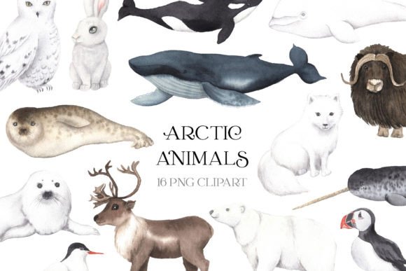 Download Watercolor Arctic Animals Clipart - Watercolor arctic Collection